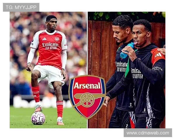 阿森纳锁定顶级年轻中卫目标 阿森纳锁定顶级年轻中卫目标